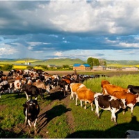 China-Russia Border Scenic Area